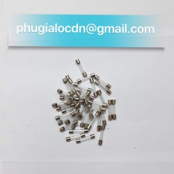 cầu chì thủy tinh