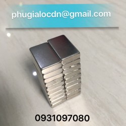 Nam châm viên 25x15x5mm tại Đà Nẵng