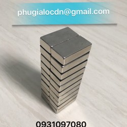 Nam châm viên 40x20x10mm